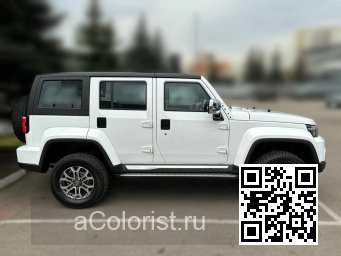 BJ40 | CAT - БЕЛЫЙ МЕТАЛЛИК 1