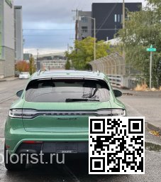 Porsche | MACAN (95B) | 5712, 712 - AURATIUM GREEN, AURATIUMGRUEN (СОЛИД) 3
