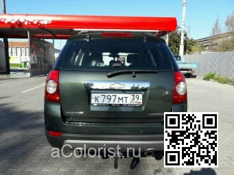 Chevrolet | CAPTIVA | 439N, 91U - OAK GREEN 1