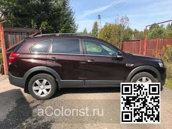 Chevrolet | CAPTIVA | GYO, 204V - DEEP ESPRESSO BROWN, ESPRESSOBRAUN, ROSEWOOD METALLIC 3