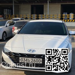 Hyundai | ELANTRA, AVANTE 7 (CN7) | WAW - CERAMIC WHITE, POLAR WHITE (СОЛИД) 0