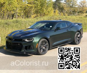 Chevrolet | CAMARO 6 | GJ0, 624D - STINGER, EVERGREEN, RALLY GREEN (с 2020) 3