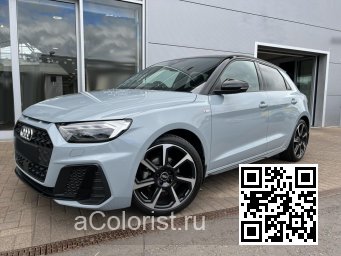 LZ7W, Z7W, 1X, 1X1X - AVIATOR GRAY PEARL, PFEILGRAU, PFEILGRAU PERLEFFEKT 0