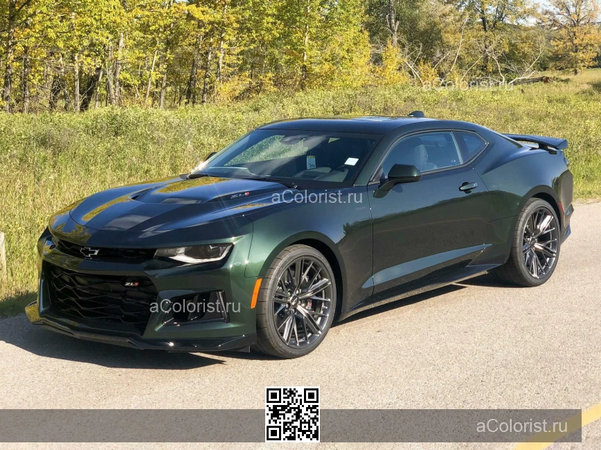 Chevrolet | CAMARO 6 | GJ0, 624D - STINGER, EVERGREEN, RALLY GREEN (с 2020) 0