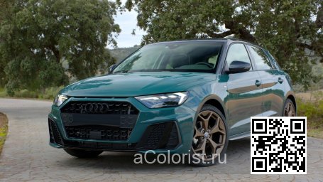 X6B, LX6B, P3, P3P3, P3H1, P30E - TIOMAN GREEN, TIOMANGRUEN, VERT TIOMAN (СОЛИД) 3