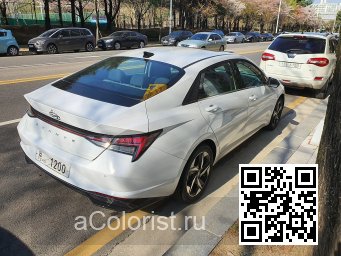 Hyundai | ELANTRA, AVANTE 7 (CN7) | WAW - CERAMIC WHITE, POLAR WHITE (СОЛИД) 2