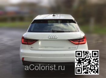 S9R, LS9R, 2Y, 2Y2Y, 2YH1, 2Y0E - GLACIER WHITE, GLETSCHERWEISS, BLANC GLACIER 4