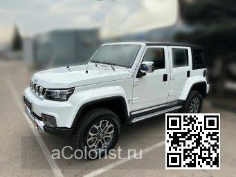 BJ40 | CAT - БЕЛЫЙ МЕТАЛЛИК 0