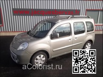 Renault | KANGOO 2 | C66 - GRIS BEIGE 0