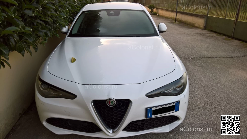 Alfa Romeo | TONALE | 217, 217/B, 5B2 - BIANCO ALFA, ALFA WHITE (СОЛИД) 0