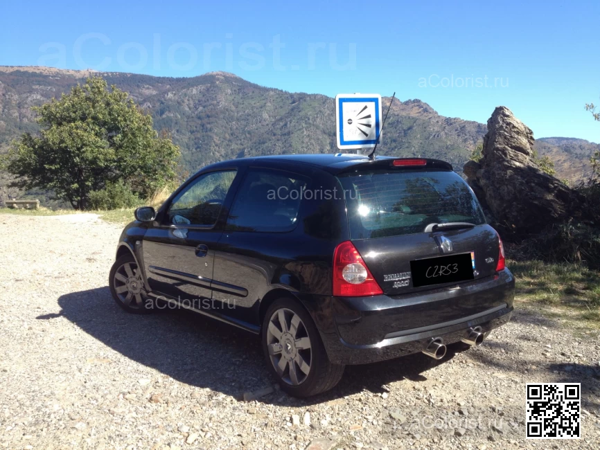 RENAULT | CLIO SYMBOL 2 (X65) | 267 - NOIR DORE (RS) 1