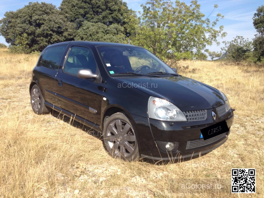 RENAULT | CLIO SYMBOL 2 (X65) | 267 - NOIR DORE (RS) 0