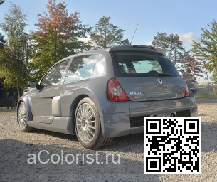 RENAULT | CLIO SYMBOL 2 (X65) | D60 - GRIS LUNE 2