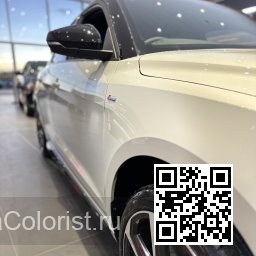 LX7E, X7E, N8, N8N8 - DEW SILVER, TAUSILBER, PLATA ROCIO (с 2022) 2