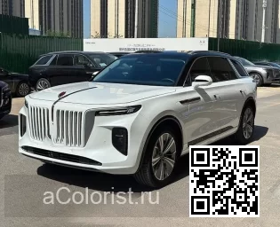 Hongqi | E-HS9 | 1J - COOL WHITE 0