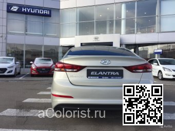 Hyundai | ELANTRA, AVANTE 6 (AD) | RW5 - ICE WINE 3