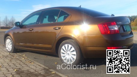 Skoda | OCTAVIA 3 (5E, A7) | 9896, LF8Y, F8Y - HNEDA AMBER, AMBER BRAUN, AMBER BROWN 1
