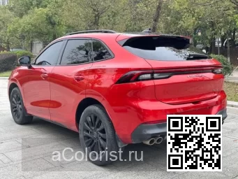 Forthing | T5 EVO, DFSK FORTHING 5 | DF-15 - AGATE RED 1