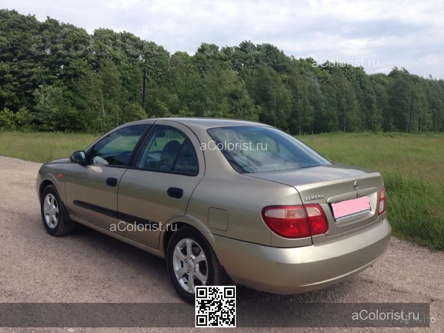 Nissan | ALMERA (N16) | EY2 - SILICA GOLD 1