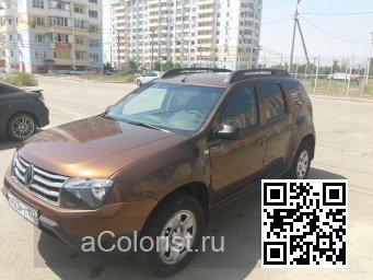 Renault | DUSTER | CNA - BRUN ACAJOU 0