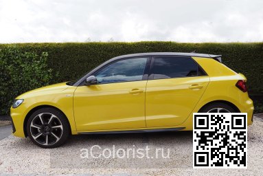 X1X, LX1X, R1, R1R1, R1H1, R10E - PYTHON YELLOW, PYTHONGELB, JAUNE PYTHON 2