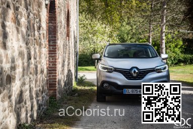Renault | KADJAR | D69 - GRIS PLATINE 0