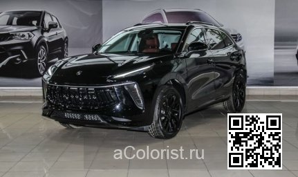 Forthing | T5 EVO, DFSK FORTHING 5 | КОСМИЧЕСКИЙ АНТРАЦИТ 0