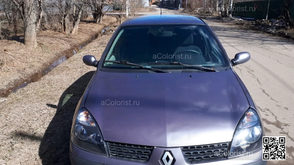 RENAULT | CLIO SYMBOL 2 (X65) | 671 - GRIS NYMPHEA, BLEU NYMPHEA 1