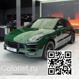 Porsche | MACAN (95B) | 21D/21A, M6A, LM6A - BRITISH RACING GREEN (СОЛИД) 2