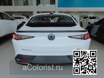 Lamore | Y05 - STARS WHITE 5