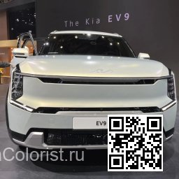 KIA | EV9 (MV1) | ISM - IVORY SILVER MATT (с 2023) 2