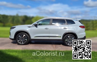 Chery | Tiggo 8 Pro | ТЕХНО-СЕРЫЙ (с 2023) 0