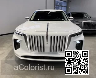 Hongqi | E-HS9 | 1J - COOL WHITE 1
