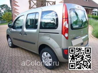 Renault | KANGOO 2 | C66 - GRIS BEIGE 2