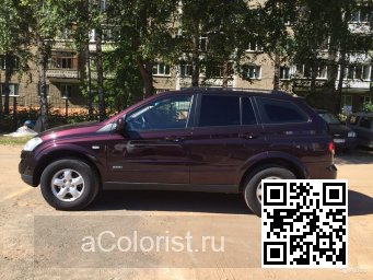 SsangYong | KYRON | WAC - PREMIERE WINE 4