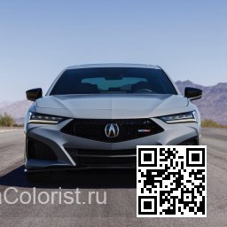 TLX 2 | NH912P - URBAN GRAY, URBAN GRAY PEARL, SLATE GRAY PEARL (с 2023) 2