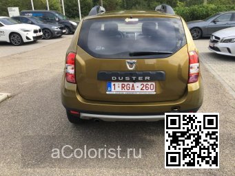 Renault | DUSTER | DPC - VERT ALTAI, PENNINE GREEN (DACIA) 3