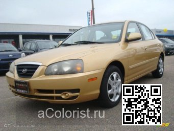 Hyundai | ELANTRA 3 (XD) | UE - GOLD SAVOR HAZELNUT, HAZELNUT 0