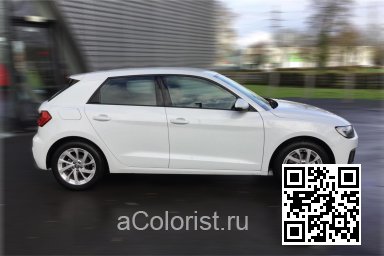 S9R, LS9R, 2Y, 2Y2Y, 2YH1, 2Y0E - GLACIER WHITE, GLETSCHERWEISS, BLANC GLACIER 1